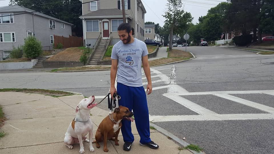 Gevorg training two dogs on a street